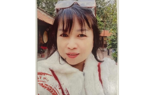 Khởi tố Trần Ngọc Bích, Giám đốc Du lịch Bắc Á