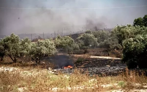 Israel thiết lập vùng quân sự ở Bờ Tây, ngăn cản người Palestine thu hoạch ô liu