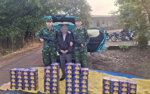 Bắt Trần Hồng Vũ