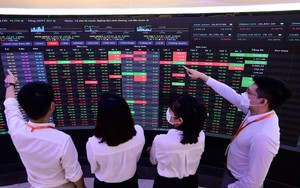 Doanh nghiệp trên sàn chứng khoán do Thủy Tiên nắm giữ hơn 20% cổ phần chuẩn bị họp bàn một việc quan trọng