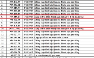 69 chủ xe dừng, đỗ không đúng quy định sau nhanh chóng nộp phạt nguội theo Nghị định 168