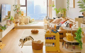 6 dấu hiệu nhà quý hơn cả vàng ròng, chuyển đi hay bán đều phí lộc trời ban