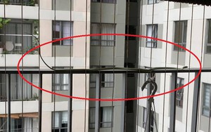 Nhà ở thành phố rắn vào bằng cách nào? Cách xử lý ngay nhiều người vẫn chưa biết