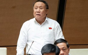 Xe taxi phải trang bị ghế ngồi trẻ em, đại biểu Quốc hội đề xuất gì?