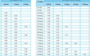 Thêm ngân hàng tăng lãi suất tiết kiệm: Lãi suất 6 tháng cao hơn cả 60 tháng