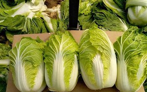 Giữa thời buổi "rau đắt hơn thịt", mua cải thảo đừng chỉ nhìn kích thước, hãy chú ý 3 điểm này