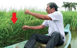 Có 1 thứ kỳ lạ xuất hiện ở nơi tạo ra sản vật Việt Nam ngon nhất TG: "Đây là sự kỳ diệu của thiên nhiên"