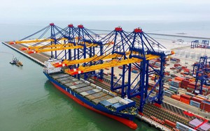 Tập đoàn vận tải top đầu thế giới muốn xây cảng biển tại Việt Nam
