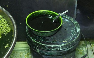 Ra chợ mua rau thấy 5 dấu hiệu này: Khả năng cao đã ngâm hóa chất, mạnh dạn quay xe