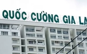 Lộ diện người cho công ty của Cường 'đô la' vay nghìn tỷ