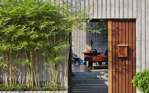 Không phải mê tín, 3 vị trí trong nhà ‘cấm kỵ’ đặt cây: Phạm phải dễ làm tài lộc tiêu tán, sức khỏe sa sút