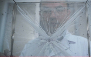 Bên trong 'công xưởng' nuôi muỗi để dập dịch sốt xuất huyết