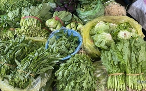 7 loại rau tươi ngon, dễ mua với giá rẻ quanh năm