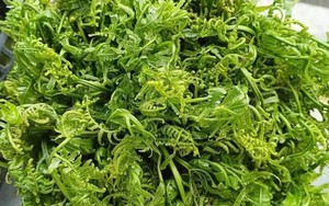 Loại rau tốt như thuốc bổ, người Trung Quốc ví là "rau trường sinh": Mọc dại đầy Việt Nam, ít người biết