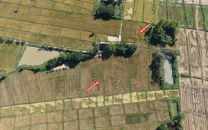 Cánh đồng gần chùa bỗng đổi dạng trong một đêm, dân làng xôn xao "chưa từng thấy bao giờ"