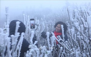 Miền Bắc đã xuất hiện băng giá sớm: Không phải ở Fansipan, đây cũng là điểm du lịch nổi tiếng Việt Nam