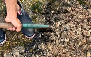 Đi đào giun, người đàn ông phát hiện kho báu vô giá nặng 6kg