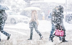 Hiện tượng xoáy cực bất ngờ trỗi dậy báo hiệu mùa đông dị thường