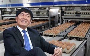 Quân bài mới của ông Trần Đình Long: Công ty nông nghiệp lãi nghìn tỷ, định giá vượt vốn hóa Dabaco, BAF Việt Nam