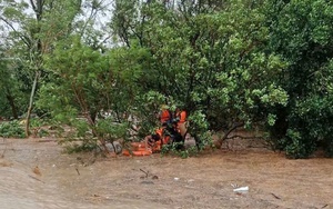 Cận cảnh giải cứu người dân mắc kẹt trên ngọn cây, mái nhà