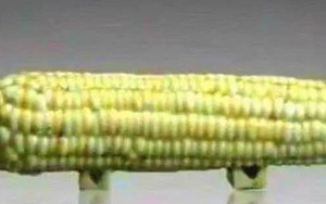 Mang "quả ngô" đi thẩm định cổ vật bị chuyên gia phán  là đồ giả, cụ ông cười khẩy nói: "Có biết tôi là ai không?"