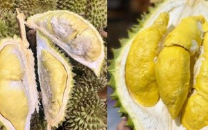 So sánh sầu Thái và sầu Ri6, loại nào ngọt và béo hơn?