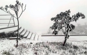 Mùa đông năm nay có thể xuất hiện tuyết và băng giá