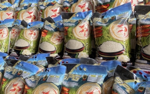 Đột kích xưởng sản xuất 14 tấn gạo giả mỗi ngày suốt 2 năm: Hãi hùng chiêu 1kg gạo tốt pha 10kg gạo nhái, tổng thiệt hại tới 155.000 tỷ