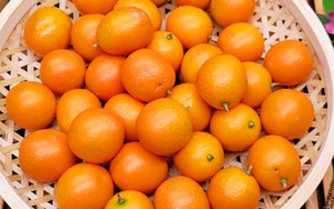 Mua trái cây mùa này, người khôn ngoan đều chọn 5 loại ngon bổ rẻ