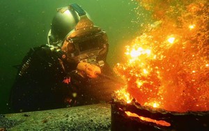 Nghề "hái ra tiền" ở dưới nước, 1 năm có thể kiếm hơn 5 tỷ