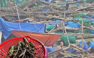 Bán tôm hùm 150.000 đồng/kg sau lũ dữ, người dân Đắk Lắk trắng tay