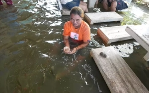 Thái Lan hứng đợt lũ nghiêm trọng nhất trong 3 thế kỷ, Malaysia sơ tán hàng vạn dân