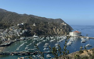 Một ngày bình yên trên đảo Santa Catalina