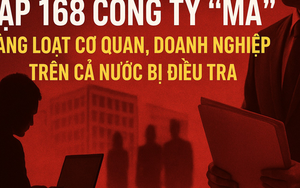 Hàng loạt cơ quan, doanh nghiệp mua hoá đơn của Hoàng Phi bị điều tra