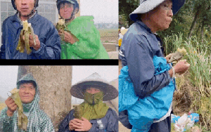 Miếng bánh ăn vội mà ngon đến nghẹn: Những chiếc bánh chưng, bánh tét đậm nghĩa tình đồng bào