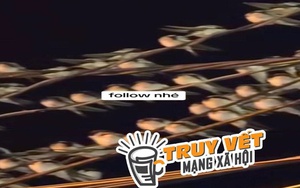 Ngành chức năng nói gì hiện tượng hàng ngàn con chim én đậu chằng chịt trên dây điện ở Cần Thơ?