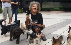 Buồn của phú nhị đại thừa kế 186 tỷ đồng từ cha mẹ tỷ phú: Tuổi xế chiều không nhà, không xe, trở thành người vô gia cư lang thang trên phố