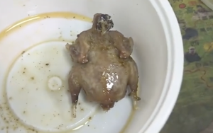 Mua gà rán nguyên con chỉ 7.000 đồng, cô gái "cười ngất" trước cách làm của người bán hàng