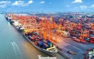 Việt Nam có tiềm năng lớn phát triển cảng xanh, thông minh