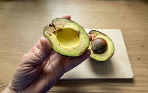 Quả bơ chín nhanh không tưởng khi được “ủ” theo cách bất ngờ này