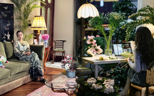 7 dấu hiệu căn nhà “không nâng đỡ” gia chủ: Cây cũng héo, người cũng mệt, tiền cũng khó ở lại