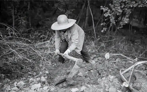 Người nông dân bất ngờ đào được con rắn đen mắt đỏ, chuyên gia một mực khẳng định là rồng: Sự thực là gì?