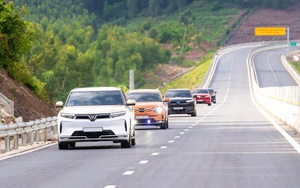 "Vàng xanh" của thị trường tín chỉ carbon