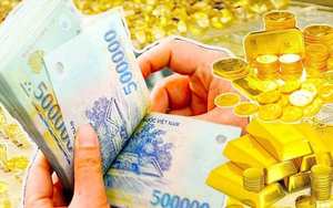 Cuộc sống viên mãn, tiền tài bội thu: 4 con giáp làm ăn phát đạt, thăng tiến vượt bậc trong tháng 11