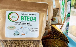 Sinh viên 'hô biến' vỏ sầu riêng thức ăn chăn nuôi