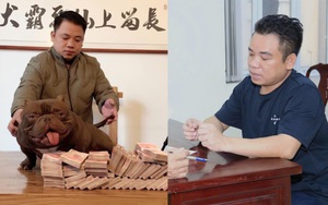Chú chó có giá 2,6 tỷ đồng