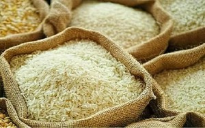 Giá gạo Thái Lan bật tăng lên mức cao nhất trong gần bốn tháng