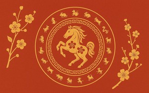 Cuối năm Ất Tỵ 3 con giáp nhiều lộc lá, sang năm Bính Ngọ tiếp tục gặp nhiều may mắn, tiền bạc rủng rỉnh