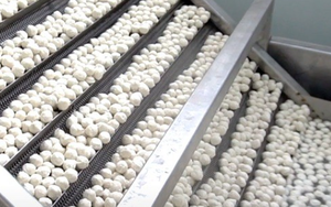 Một mặt hàng ‘ngon bổ rẻ’ của Việt Nam đang đắt hàng từ Á đến Âu: Vừa thu về hơn 200 triệu USD, Thái Lan, Hàn Quốc đua nhau săn lùng