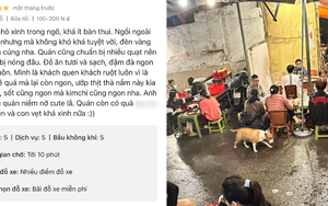 Thực hư quán nướng có Cậu Vàng trong game Phở Anh Hai được 5 sao tuyệt đối